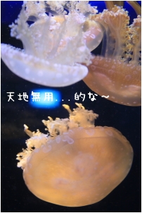 f0196660_22435857.jpg