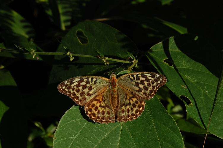 b0167762_13581529.jpg