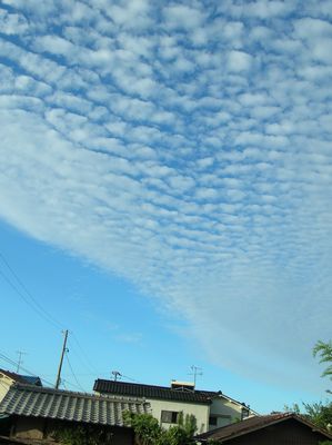 f0131263_9392683.jpg
