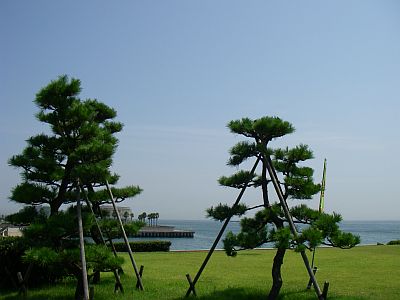 e0143671_1442758.jpg