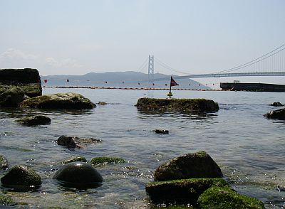 e0143671_1447783.jpg