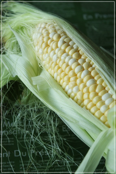 c0167576_648112.jpg