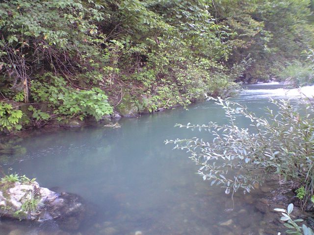 a0093677_20204695.jpg