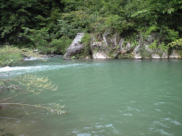 a0093677_20481167.jpg