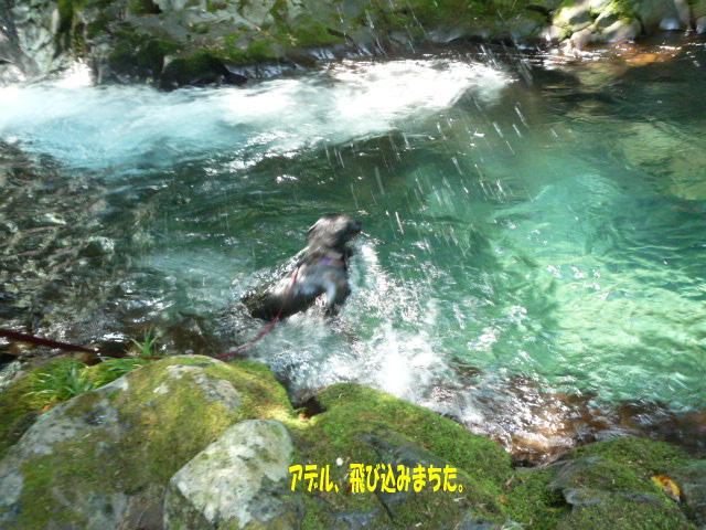 e0165577_72384.jpg