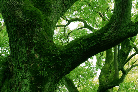 a0070478_19175690.jpg