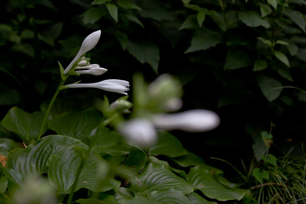 a0083081_15575127.jpg