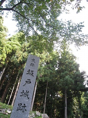 a0038882_1734991.jpg