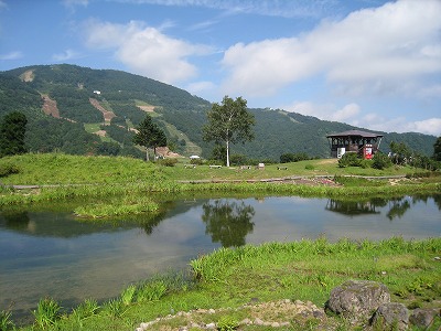 a0038882_1846497.jpg