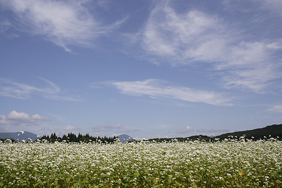 e0165983_13493674.jpg