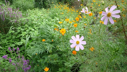 c0160488_17221140.jpg