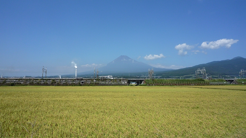 c0160488_17242260.jpg