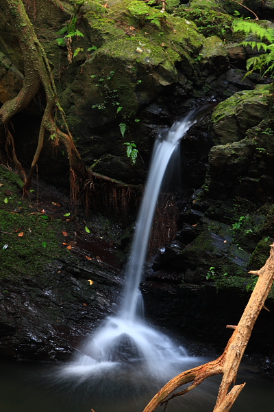 e0051888_22234166.jpg