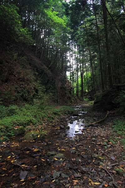 e0051888_22241520.jpg