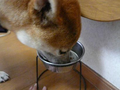 c0123890_20203098.jpg