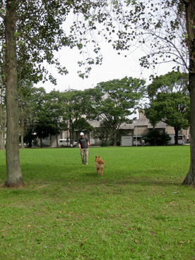 c0096393_229692.jpg