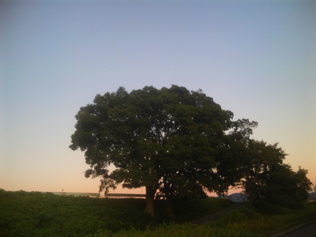 e0083097_23125364.jpg