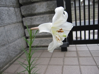 f0141700_040666.jpg