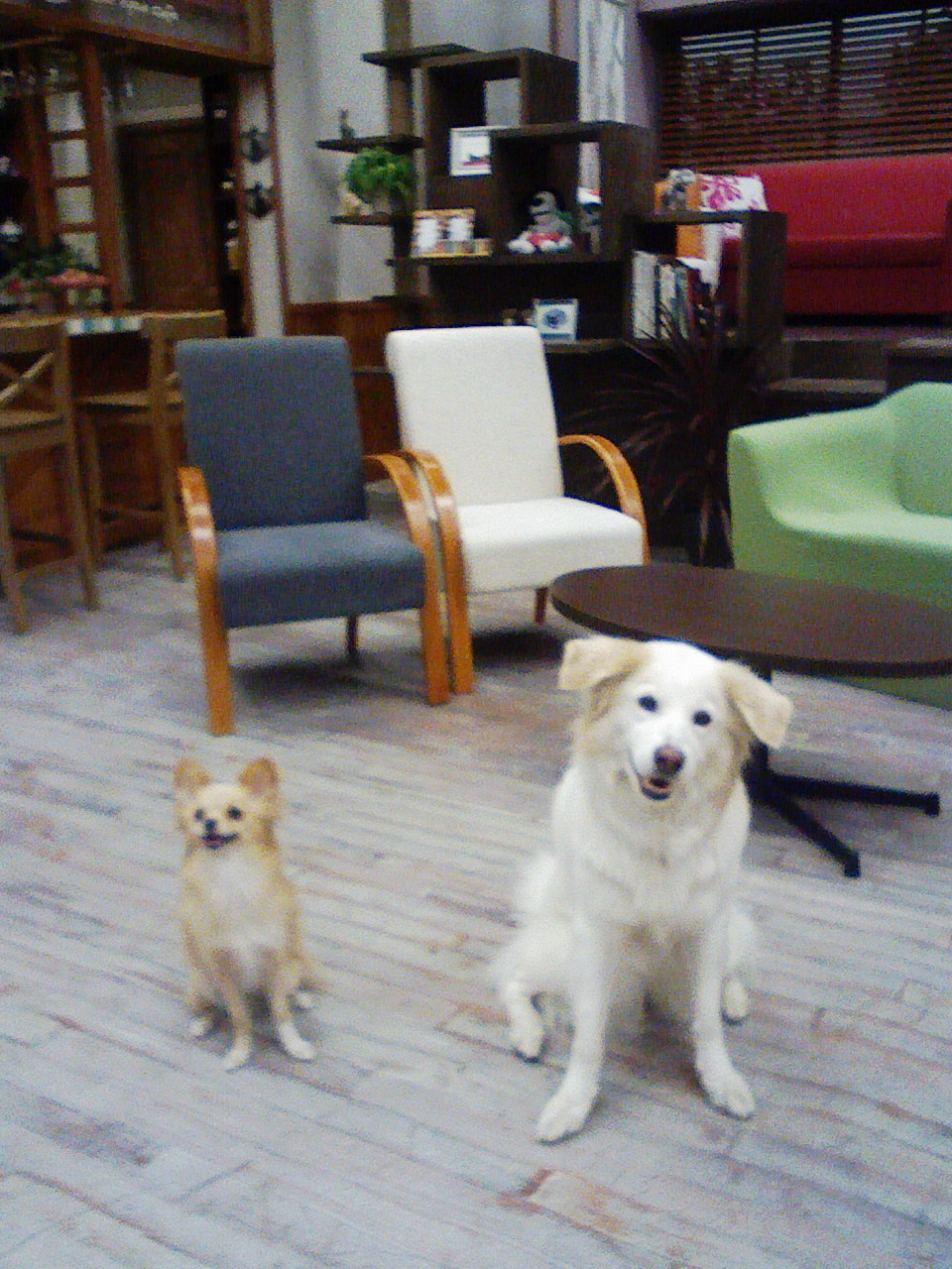 a0032004_17595921.jpg