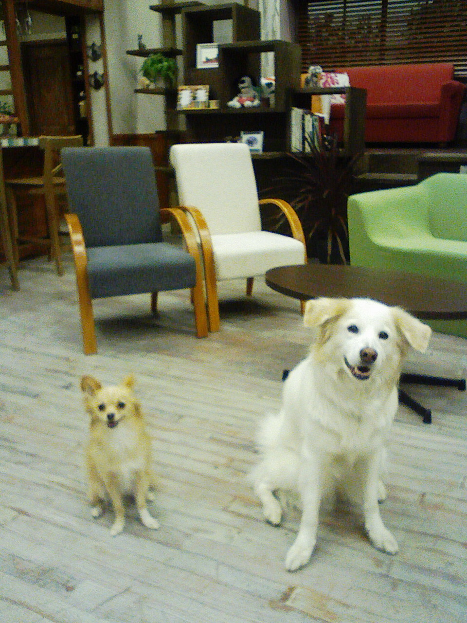 a0032004_18103361.jpg