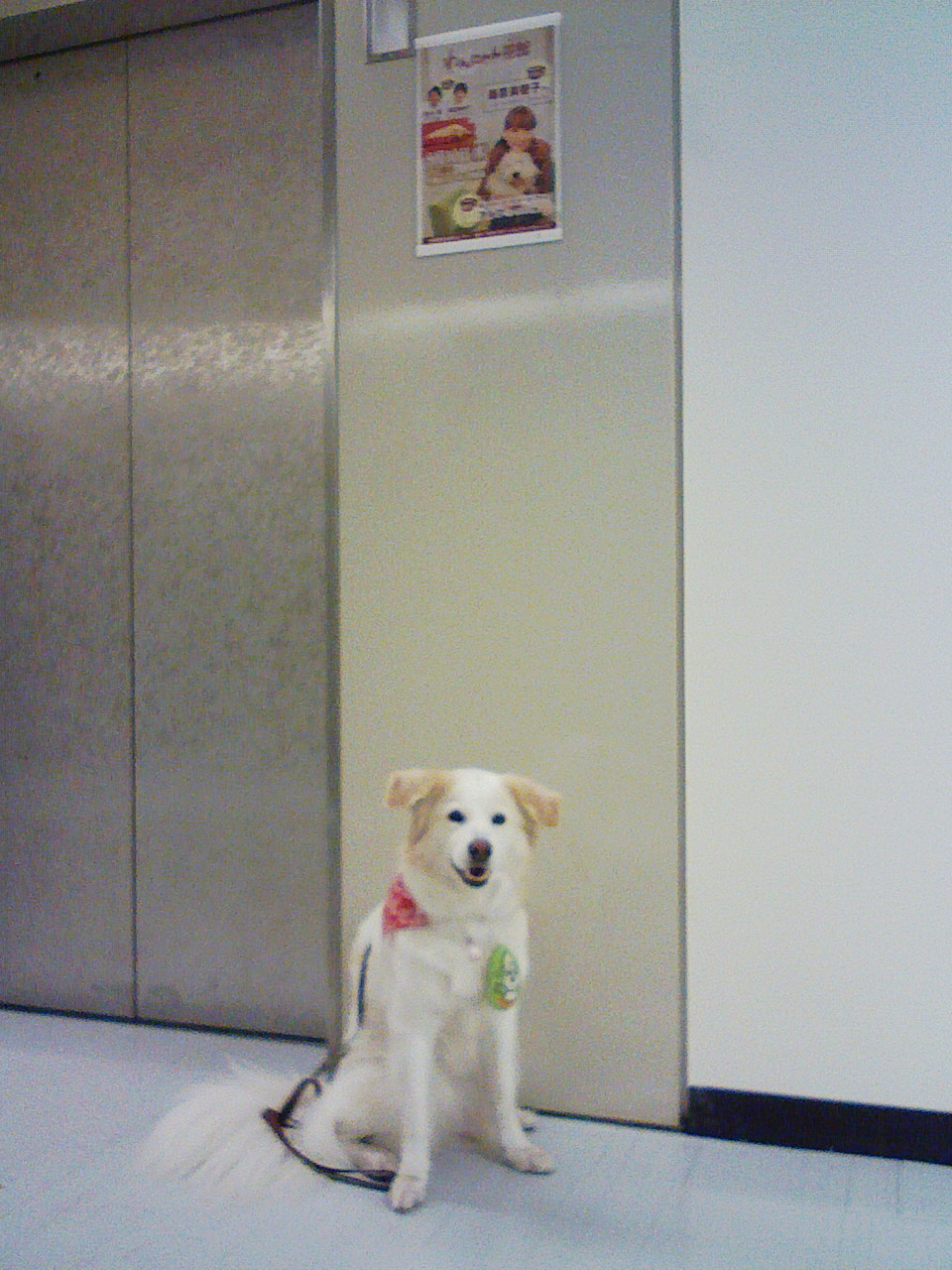 a0032004_1851417.jpg