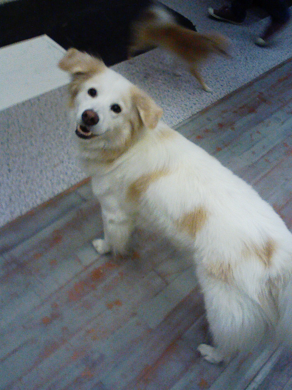 a0032004_1881575.jpg