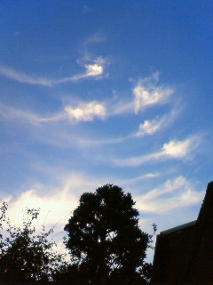 a0123904_17415751.jpg