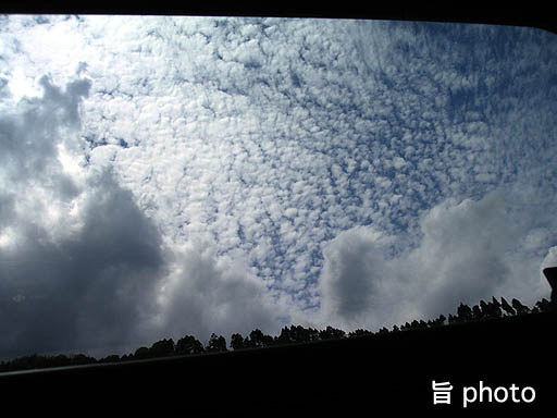b0061004_1651294.jpg