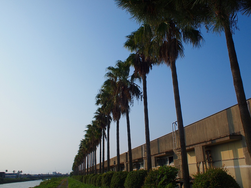 d0059213_1147438.jpg