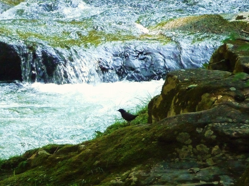 f0182513_901968.jpg