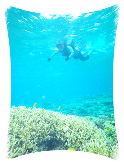 b0089616_21384417.jpg
