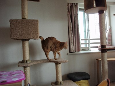 c0145016_1061436.jpg