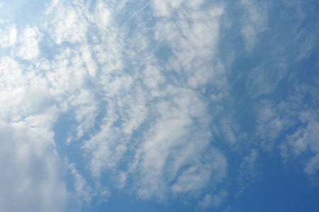 f0056516_23352385.jpg