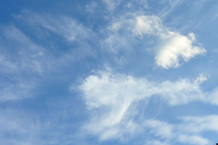 f0056516_23354884.jpg