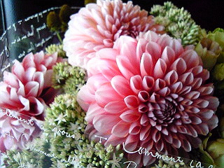 a0052621_20232889.jpg