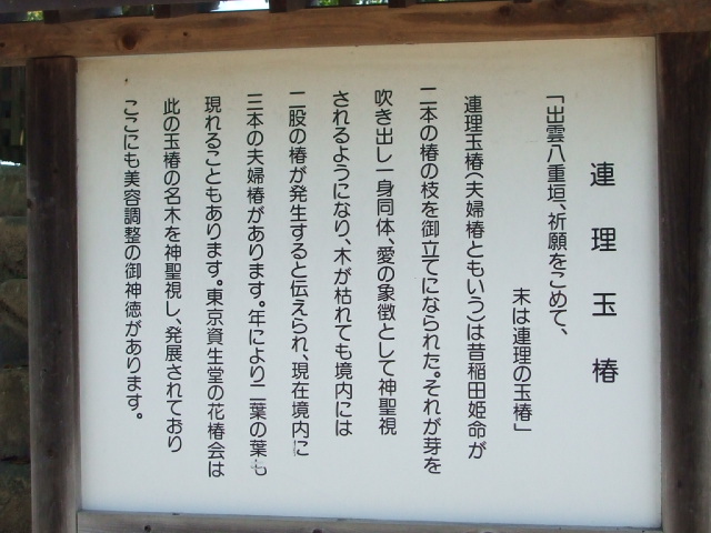 e0186121_2394381.jpg