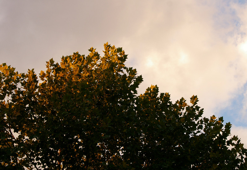 e0136424_1172153.jpg