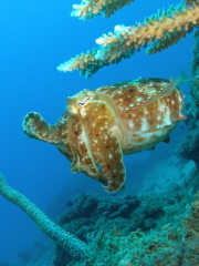 b0100730_2341132.jpg