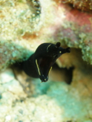 b0100730_23473813.jpg
