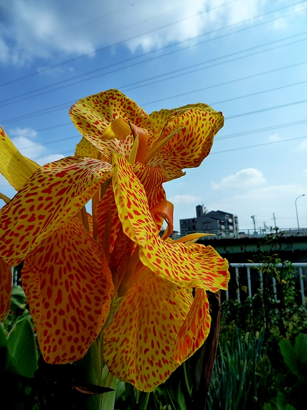 c0205232_23254674.jpg