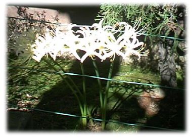 f0034334_10144254.jpg