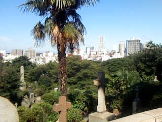 a0132042_971555.jpg