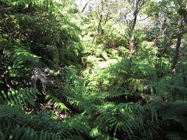 e0164643_2263611.jpg