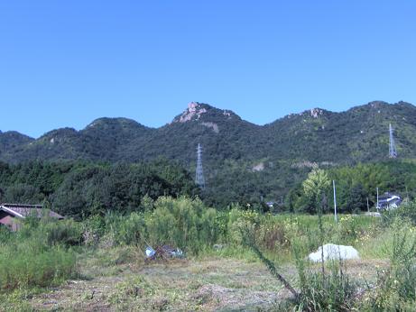 e0164643_2339822.jpg