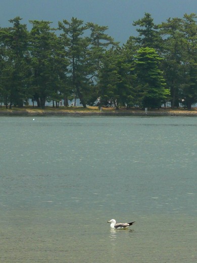 c0057946_18453744.jpg