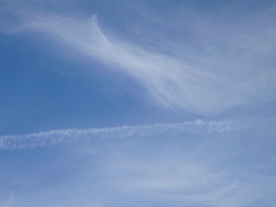 e0100046_20481124.jpg