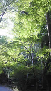 e0045847_23533519.jpg