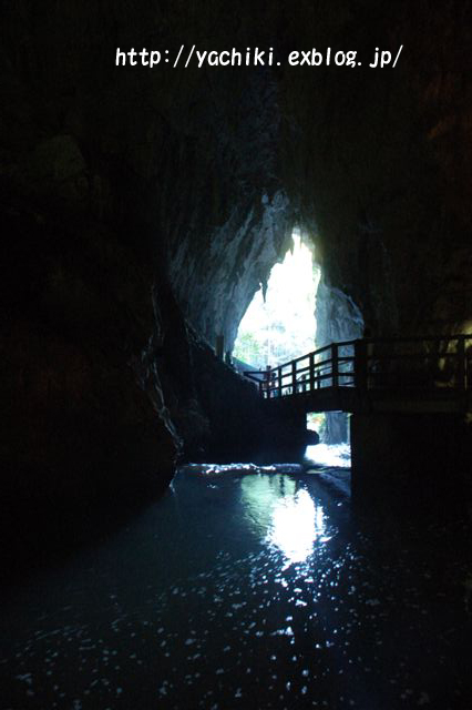 b0153451_055844.jpg