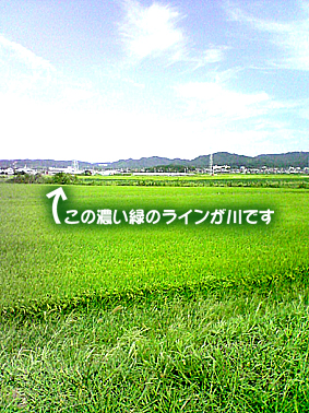 e0196757_17102452.jpg
