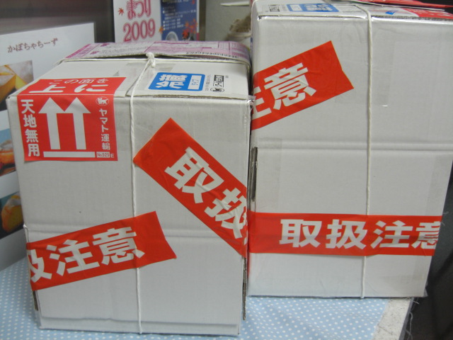 c0169360_8553184.jpg